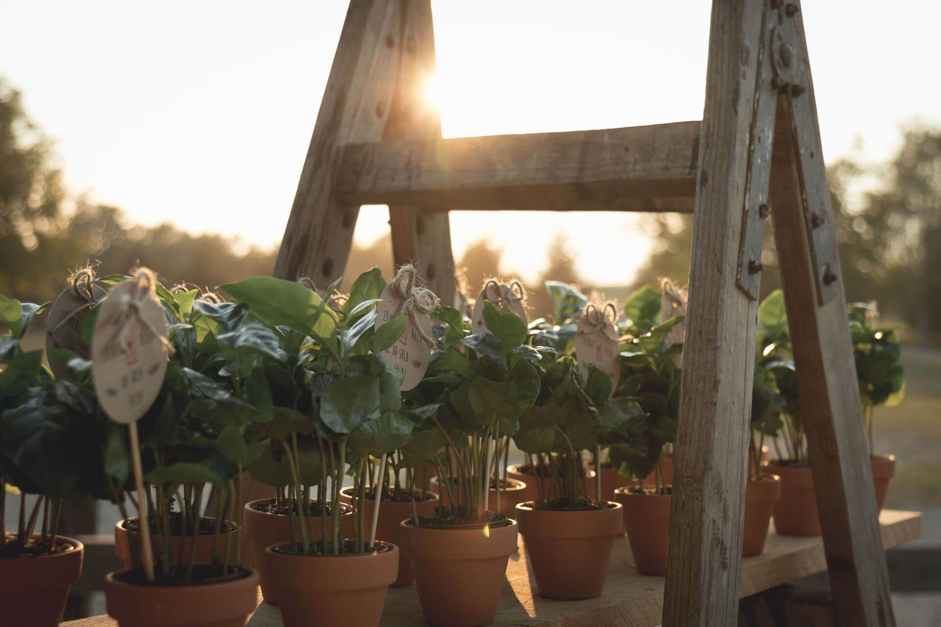 Rustikalno vjenčanje