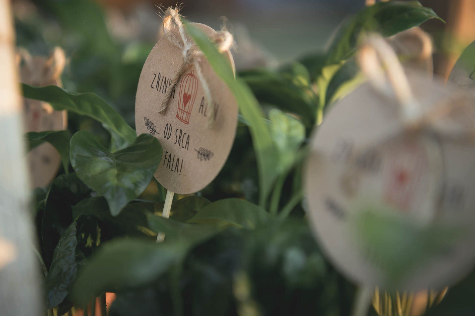 Rustikalno vjenčanje